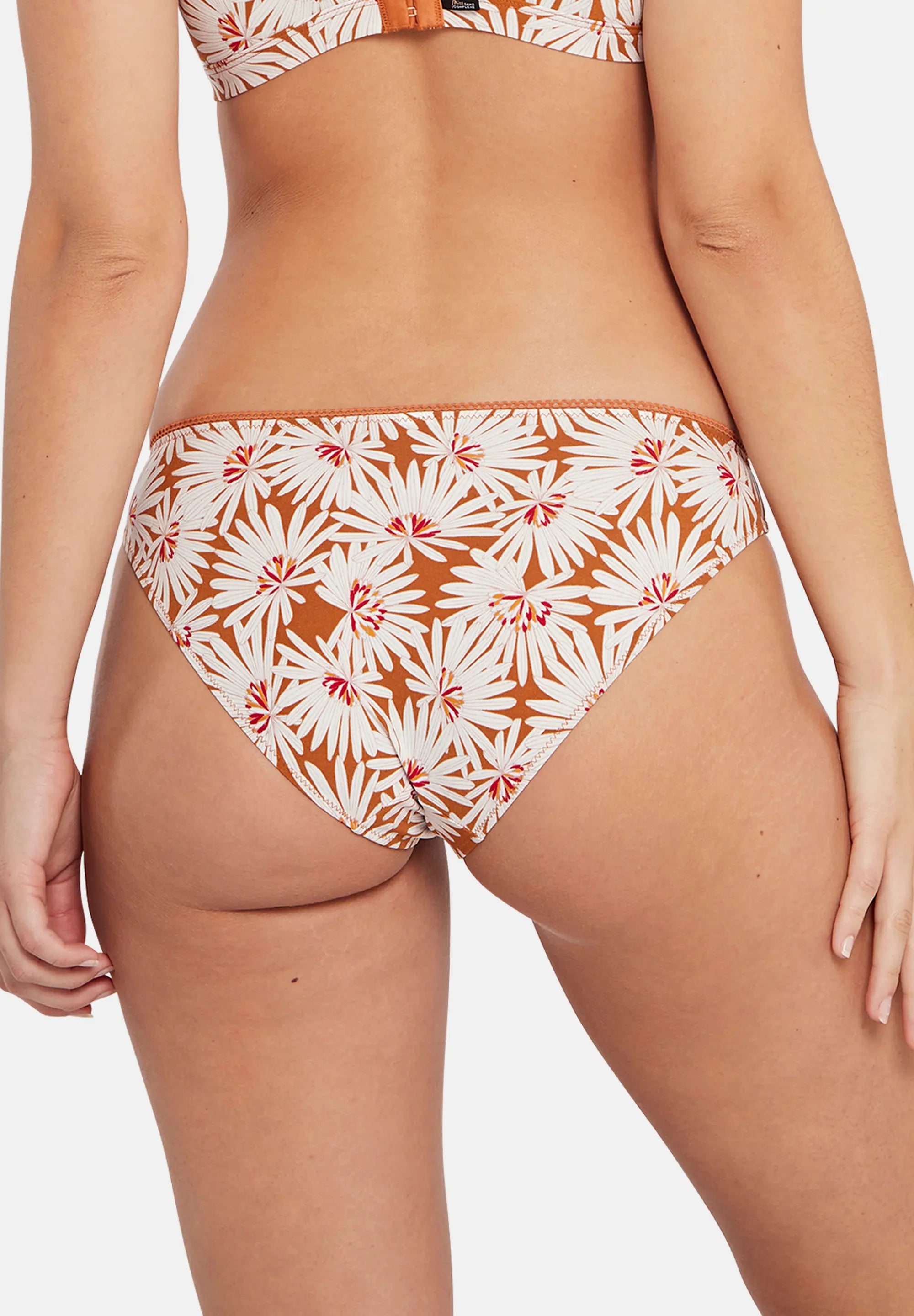 Miss Sans Complexe Briefs - Zo�� Pure Floral Print